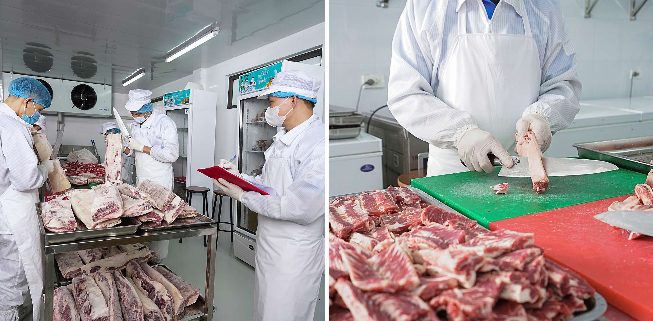 doi-ngu-chuyen-nghiep