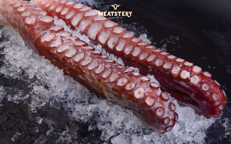 bach-tuoc-mizudako-nhat-1