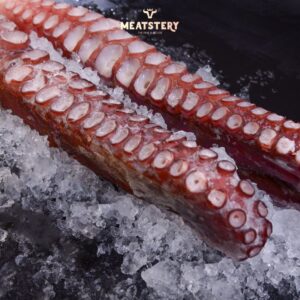 bach-tuoc-mizudako-nhat