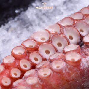 bach-tuoc-mizudako-nhat-7