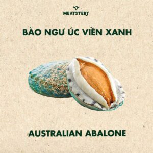 bao-ngu-uc