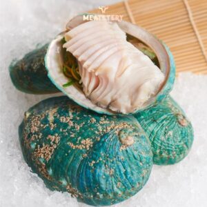 bao-ngu-uc-vien-xanh-9