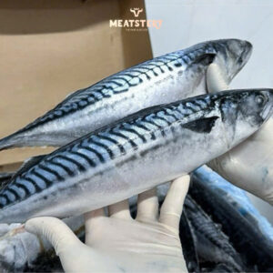 ca-saba-nguyen-con-12