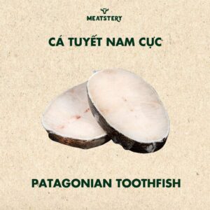 ca-tuyet-nam-cuc