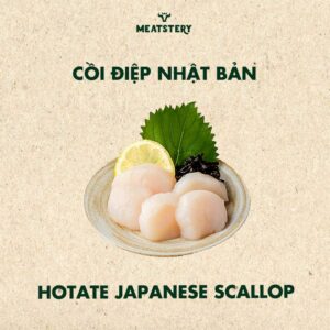coi-diep-nhat-ban