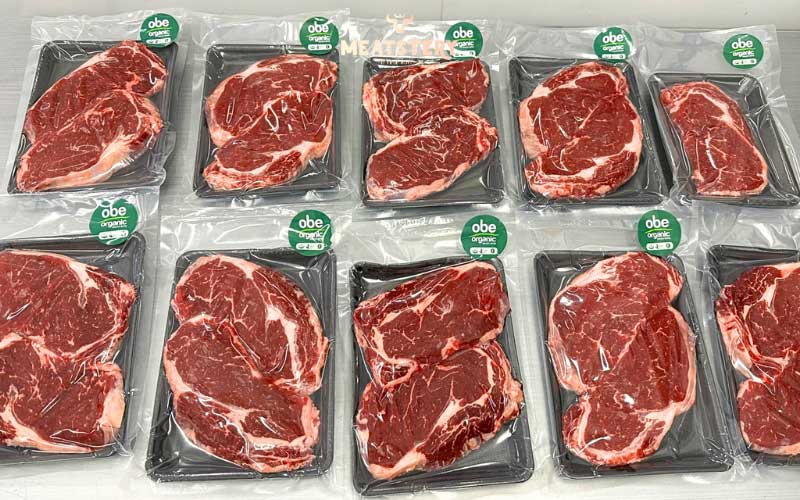 than-lung-obe-3 than-lung-obe-3