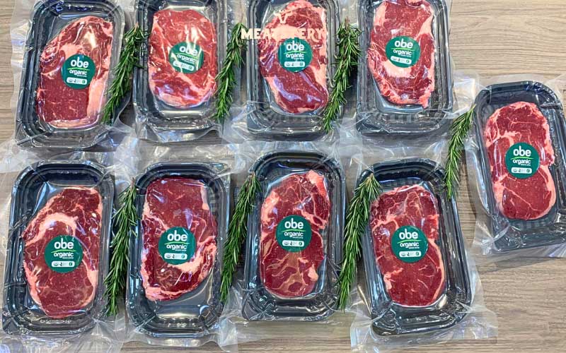 than-lung-obe-4 than-lung-obe-4