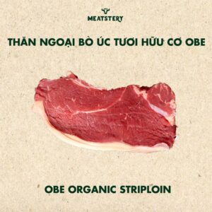 than-ngoai-bo-uc-obe