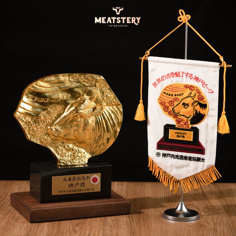 chung nhan hiep hoi bo kobe