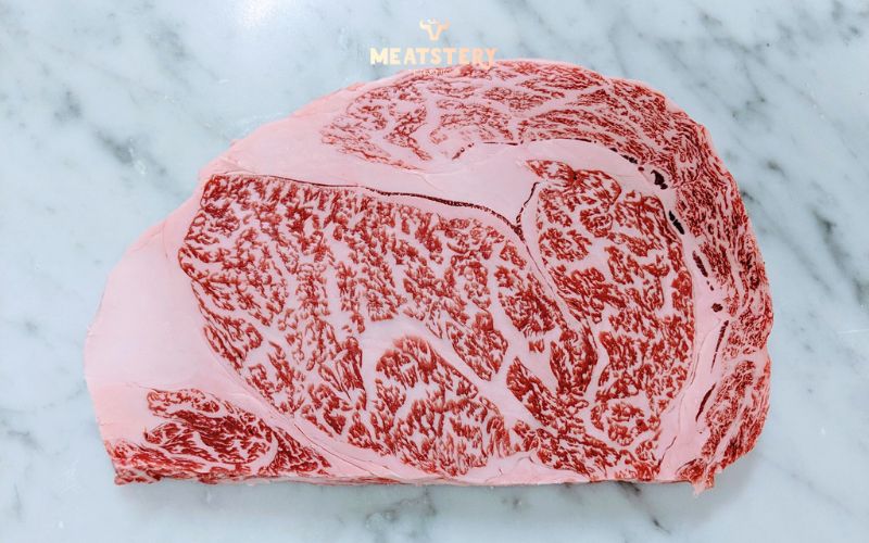 than-lung-bo-kobe-nhat-ban-a5-3