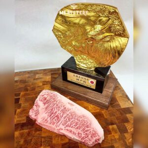 than-ngoai-bo-kobe-nhat-ban-a5-7