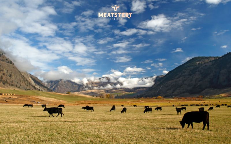 trang trai snake river farm trang trai snake river farm